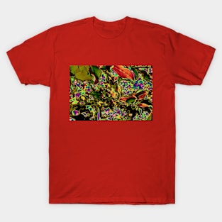 Psychedelic Background_Holly T-Shirt